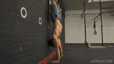 The handstand trap 3 raise GIF