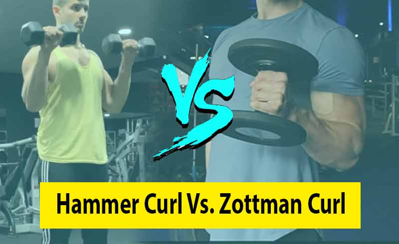 Zottman Curl Vs Hammer Curl Image