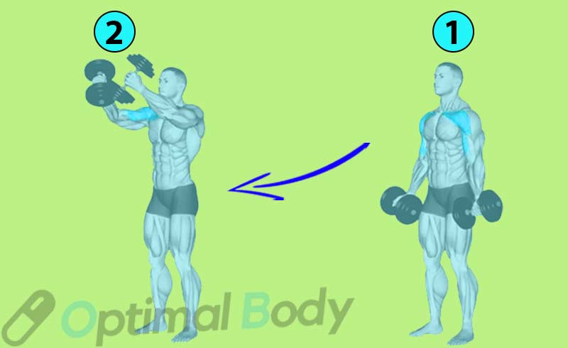 A Man Doing Standing Dumbbell Fly Exercise