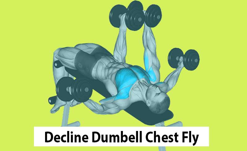 Decline Dumbbell Fly Exercise