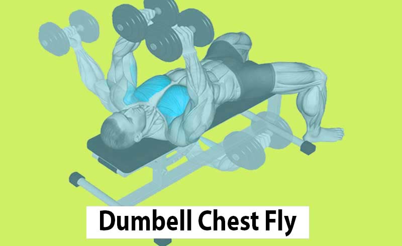 Dumbbell Chest Flys Exercise Using a Flat Bench