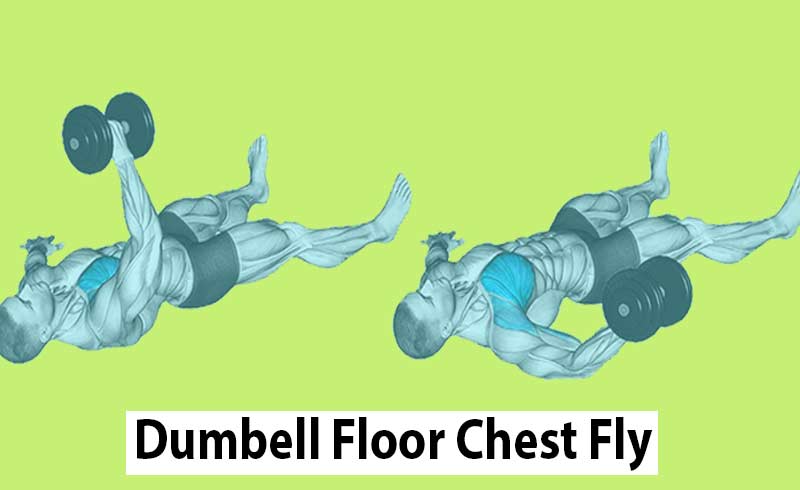 Dumbbell Floor Chest Fly Exercise For Bogger Pics