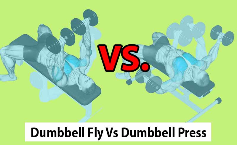 Dumbbell Fly Vs Dumbbell Press The Differences