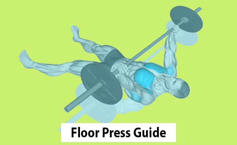 Floor Press Exercise Guide