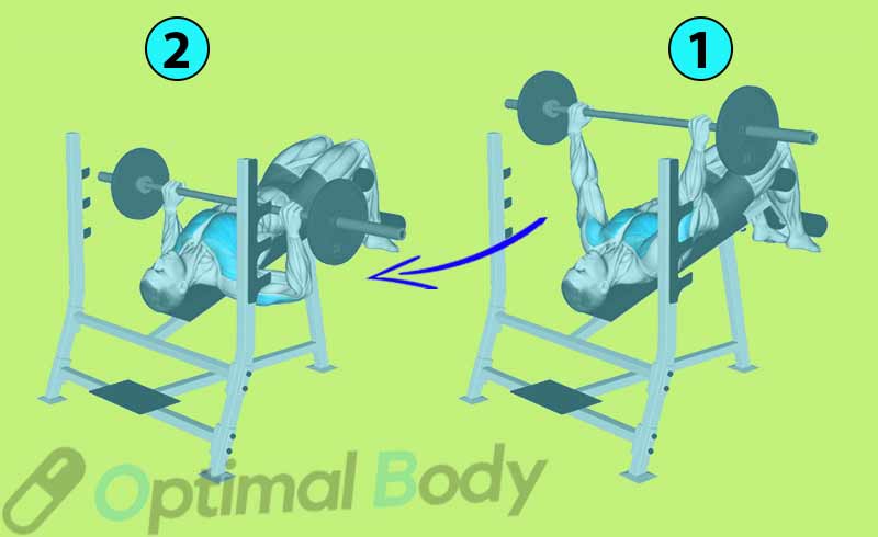 How To Do Barbell Decline Bench Press