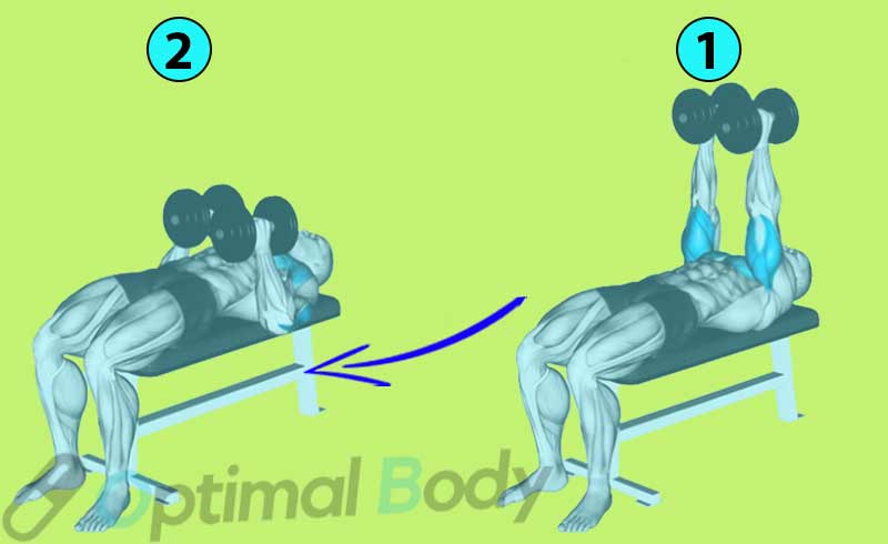 How To Do Neutral Grip Dumbbell Bench Press