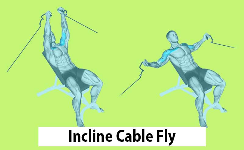 Incline Cable Fly Exercise For Upper Pec and Biceps