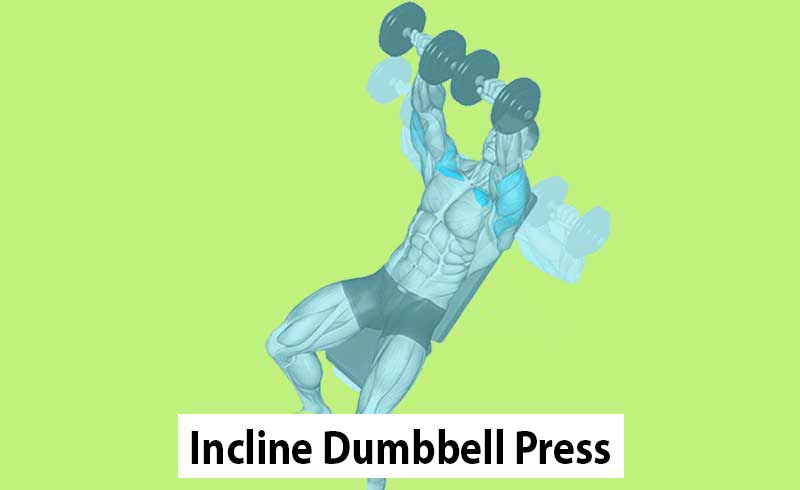 Incline Dumbbell Press Workout for a Big Upper Chest