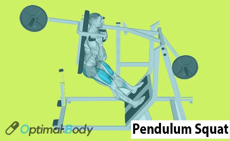 Pendulum Squat Exercise