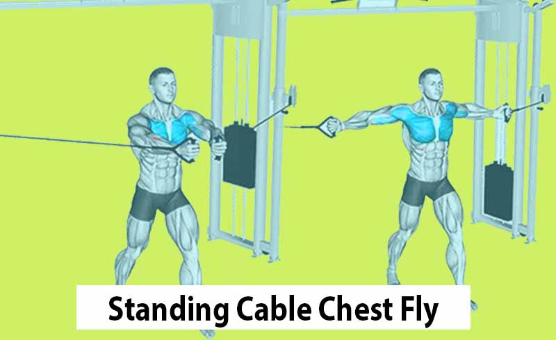 Standing Cable Chest Fly Exercise