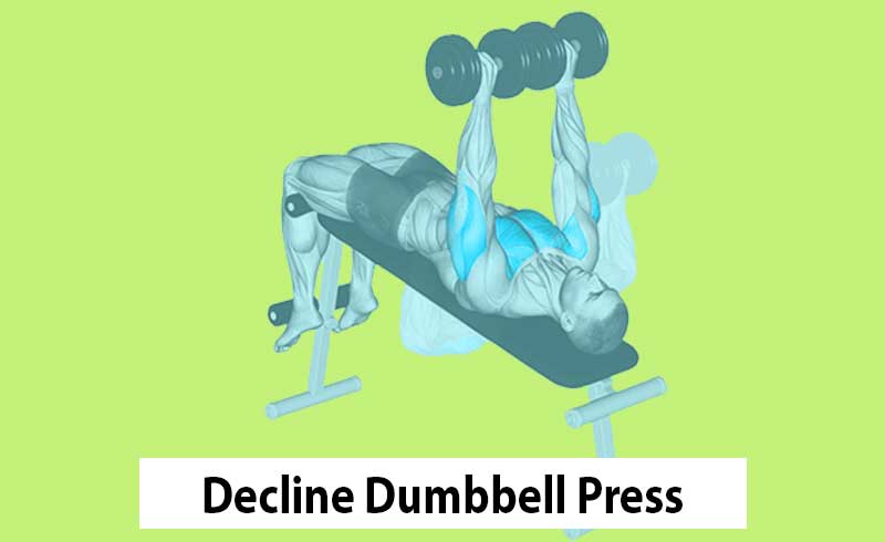 Decline Dumbbell Bench Press