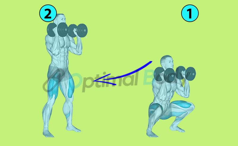 How To Do A Dumbbell Front Squat