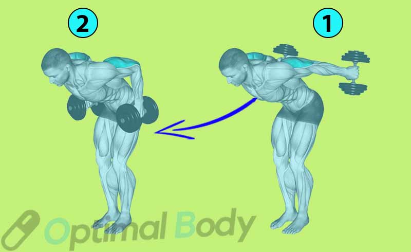 How To Do A Tricep Dumbbell Kickback In a Standing Position