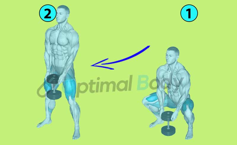 How To Do Dumbbell Sumo Squat