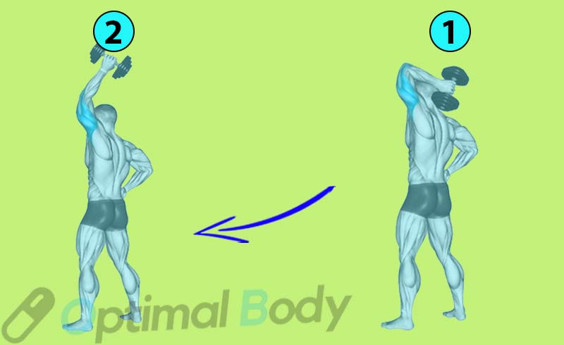How To Do Standing One Arm Overhead Dumbbell Triceps