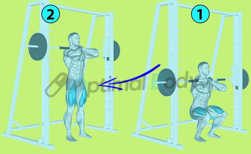 How To Perform A Smith Machine Front Squat