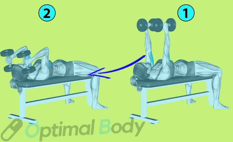 How to Do the Lying Dumbbell Triceps