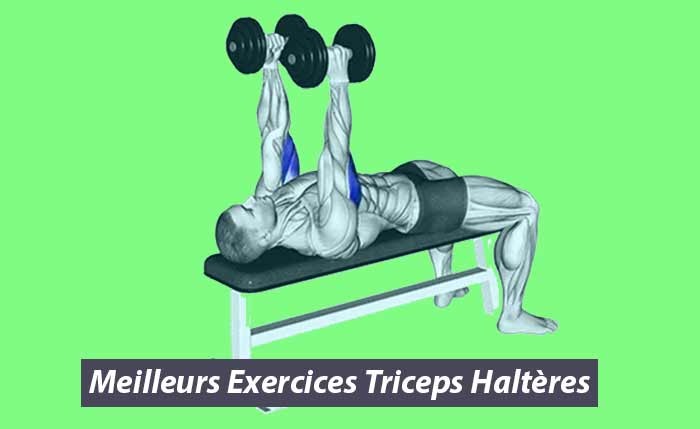 Meilleurs Exercices Triceps avec Halteres